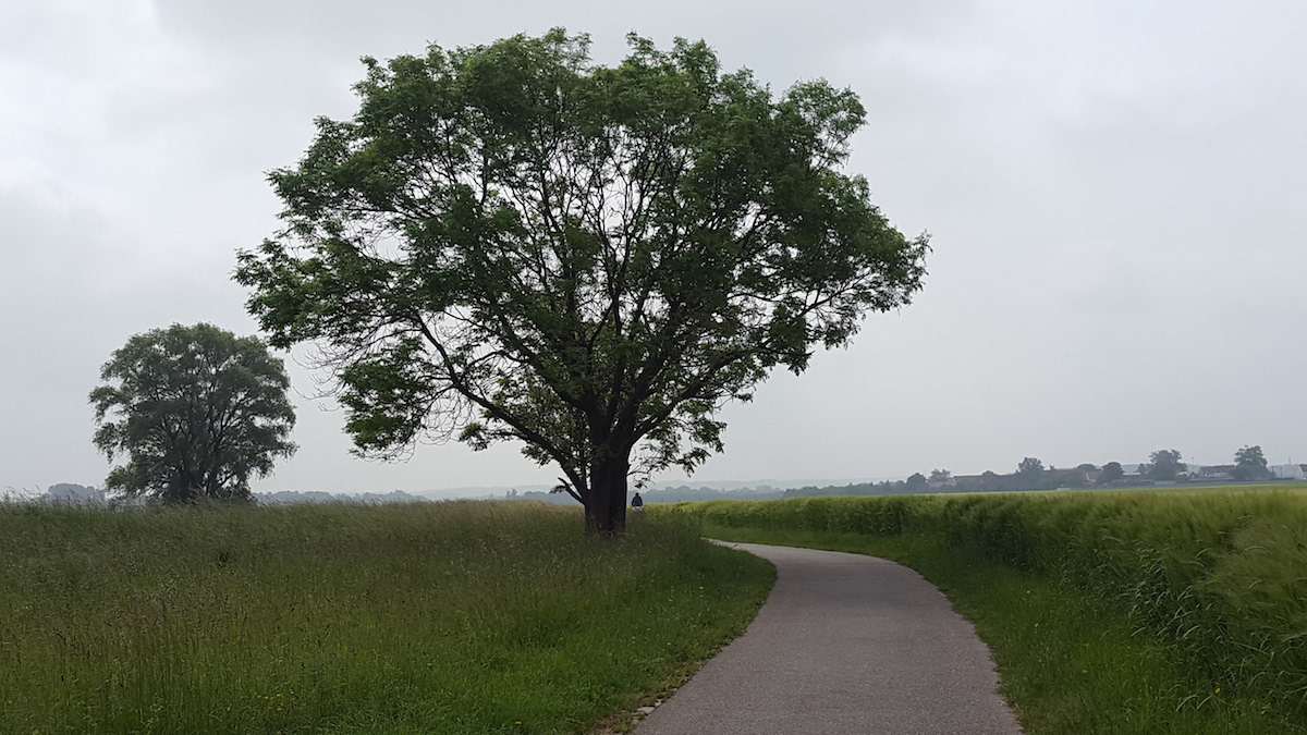Workshop_neue_Perspektiven_gewinnen